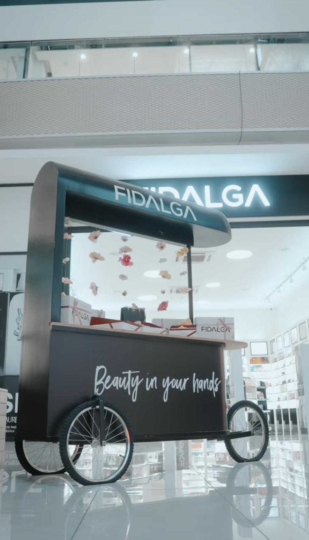 FIDALGA — PROMO VIDEO